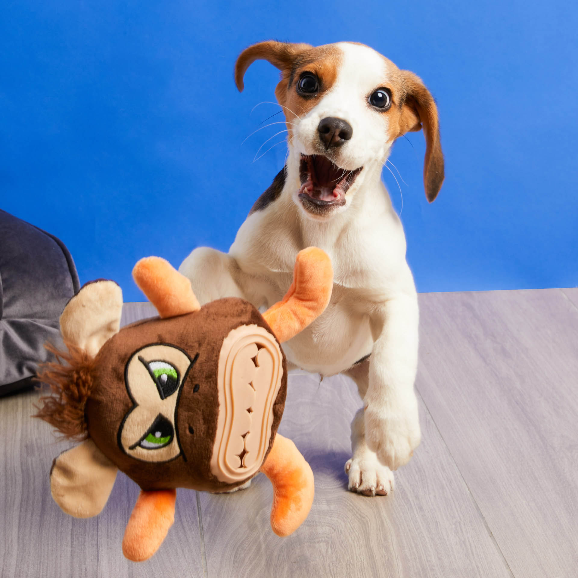Gioco peluche dispensa crocchette per cani, , large