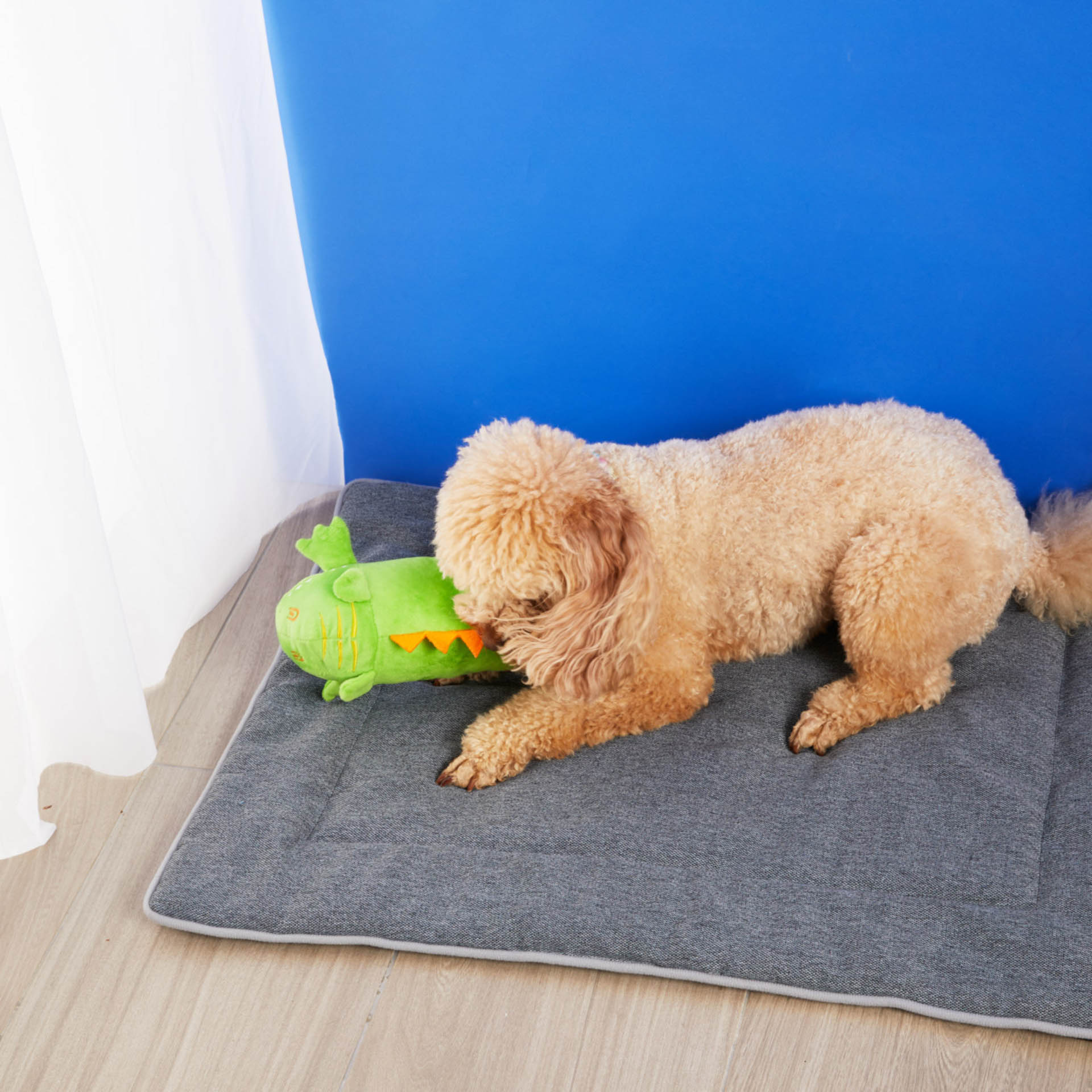 Gioco peluche dispensa crocchette per cani, , large