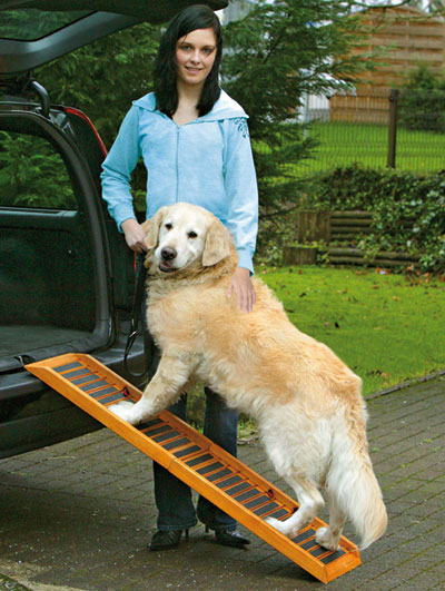 Rampa per cani, , large