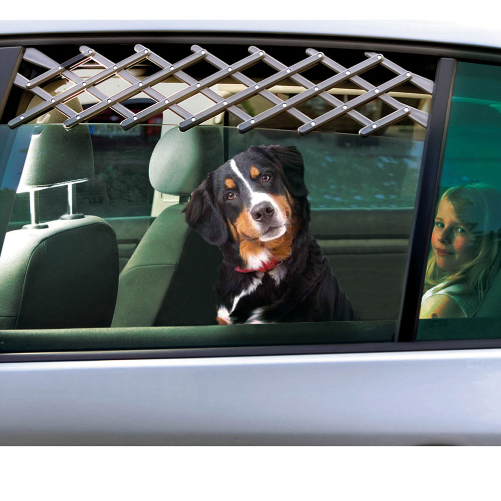 Griglia di ventilazione per cani da auto, , large